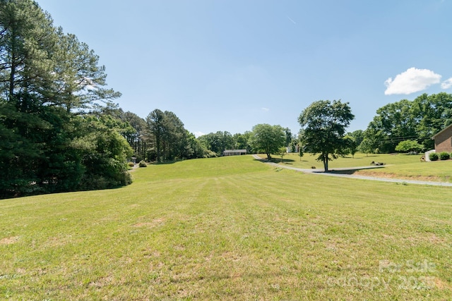28782 Canton Rd Unit A, Albemarle, NC 28001 - view of green lawn featuring view of scattered trees