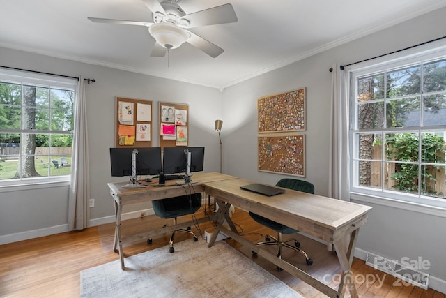 1014 Vandalia Dr, Charlotte, NC 28212 - home office featuring plenty of natural light, light wood-type flooring, baseboards, and crown molding