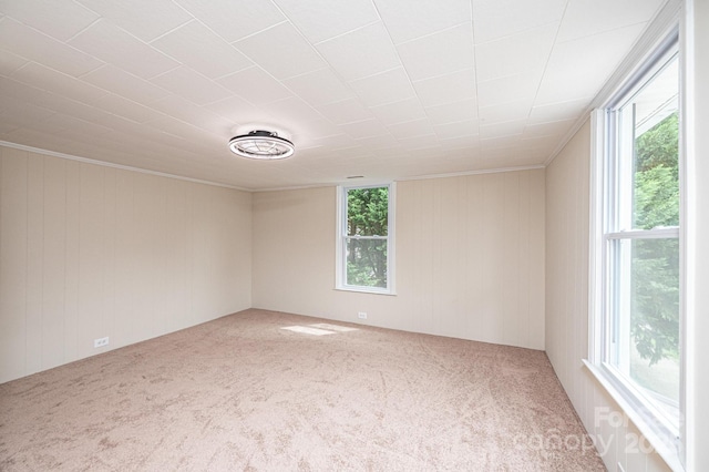 210 W 15th St, Newton, NC 28658 - carpeted empty room featuring wooden walls