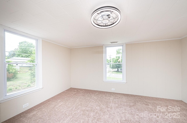 210 W 15th St, Newton, NC 28658 - carpeted spare room with wood walls