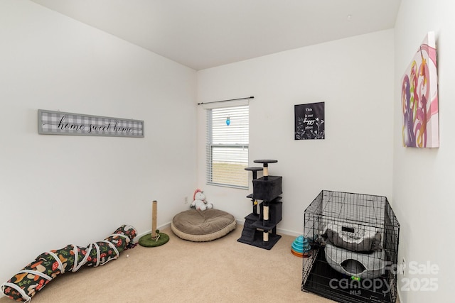 12792 Clydesdale Dr, Midland, NC 28107 - miscellaneous room featuring carpet flooring and baseboards
