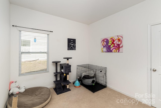 12792 Clydesdale Dr, Midland, NC 28107 - miscellaneous room with carpet floors and baseboards