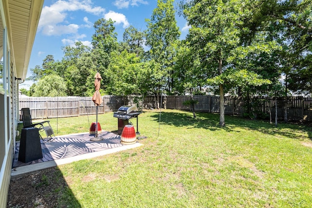 12792 Clydesdale Dr, Midland, NC 28107 - view of yard featuring a patio area