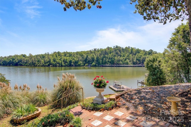 6664 Lake Shore Dr, Hickory, NC 28601 - water view with a heavily wooded area and a boat dock