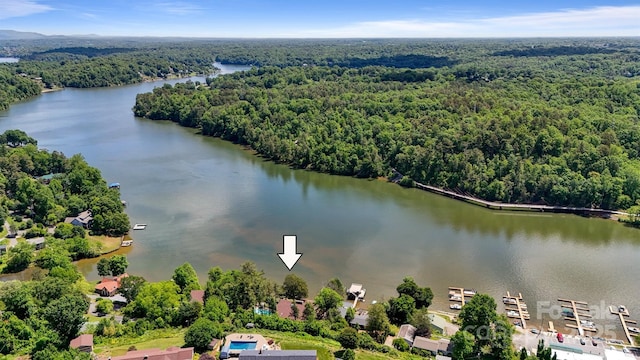 6664 Lake Shore Dr, Hickory, NC 28601 - drone / aerial view of a forest and a nearby body of water