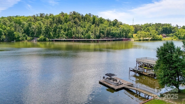 6664 Lake Shore Dr, Hickory, NC 28601 - dock area with a water view and a view of trees