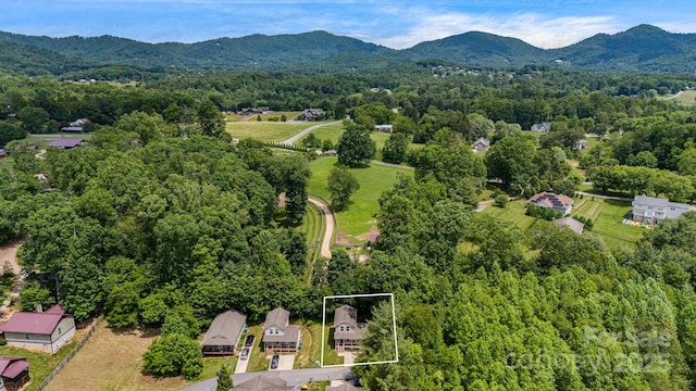 10 Coral Berry Dr, Candler, NC 28715 - aerial overview of property's location with property boundaries highlighted, a forest, and a mountainous background