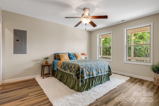 10 Coral Berry Dr, Candler, NC 28715 - bedroom featuring electric panel, wood finished floors, baseboards, and ceiling fan