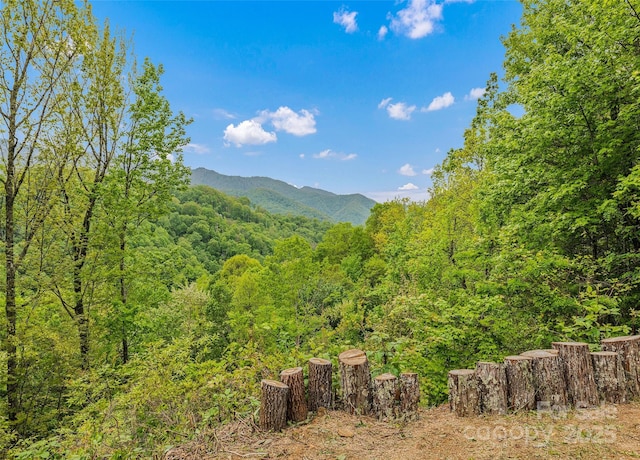 328 Mountain Lion Trl, Maggie Valley, NC 28751 - view of mountain backdrop featuring a forest