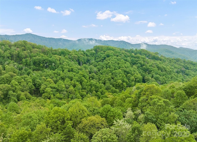 328 Mountain Lion Trl, Maggie Valley, NC 28751 - view of mountain backdrop featuring a heavily wooded area