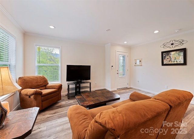 328 Mountain Lion Trl, Maggie Valley, NC 28751 - living area featuring light wood-type flooring, healthy amount of natural light, baseboards, ornamental molding, and recessed lighting