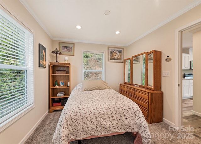 328 Mountain Lion Trl, Maggie Valley, NC 28751 - bedroom featuring light colored carpet, ornamental molding, baseboards, and recessed lighting
