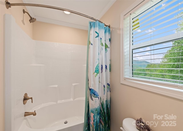 328 Mountain Lion Trl, Maggie Valley, NC 28751 - full bathroom featuring shower / tub combo with curtain, toilet, and ornamental molding