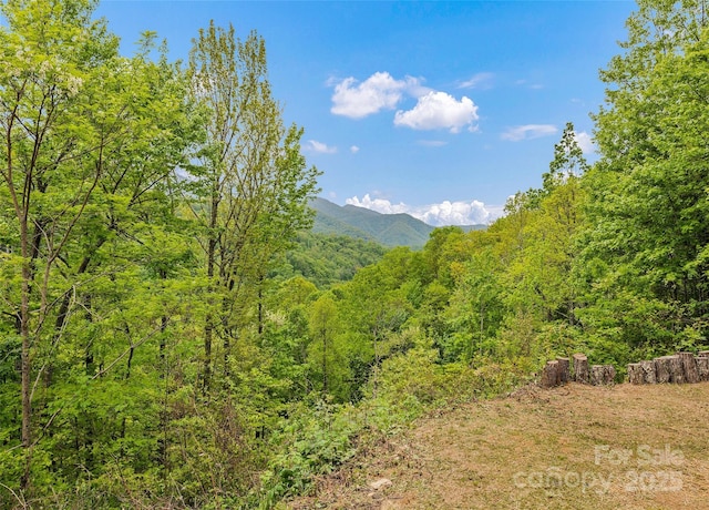 328 Mountain Lion Trl, Maggie Valley, NC 28751 - view of mountain background with a heavily wooded area