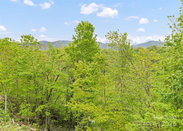 328 Mountain Lion Trl, Maggie Valley, NC 28751 - mountain view featuring a heavily wooded area