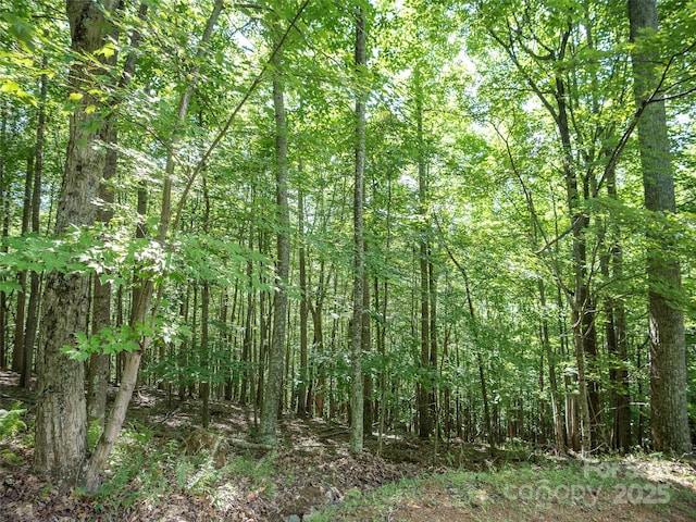 1157 Standing Deer Trce Unit 128, Arden, NC 28704