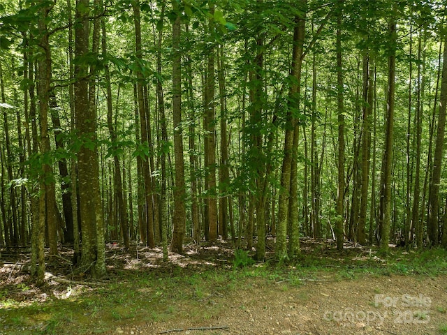 1157 Standing Deer Trce Unit 128, Arden, NC 28704