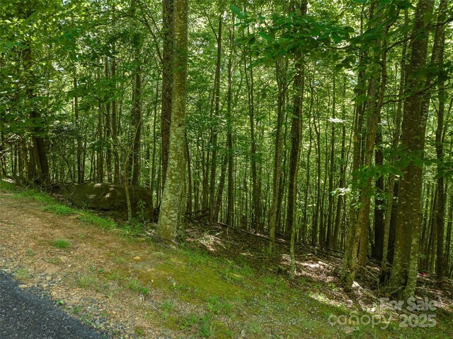 1157 Standing Deer Trce Unit 128, Arden, NC 28704