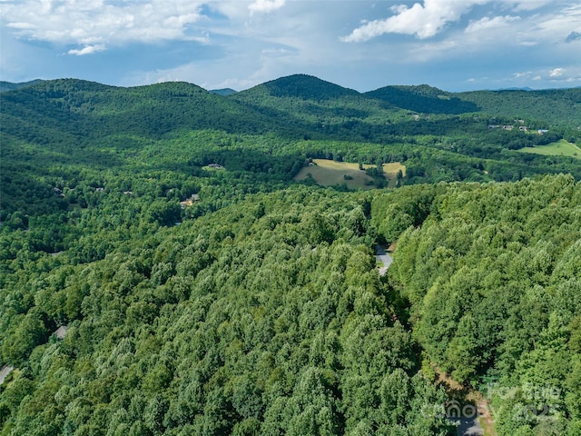 1157 Standing Deer Trce Unit 128, Arden, NC 28704