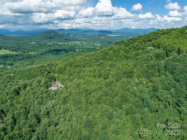 1157 Standing Deer Trce Unit 128, Arden, NC 28704