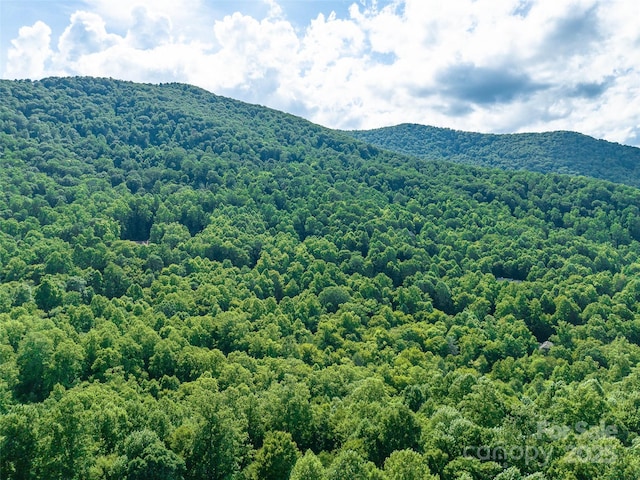 1157 Standing Deer Trce Unit 128, Arden, NC 28704