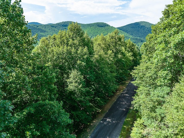 1157 Standing Deer Trce Unit 128, Arden, NC 28704