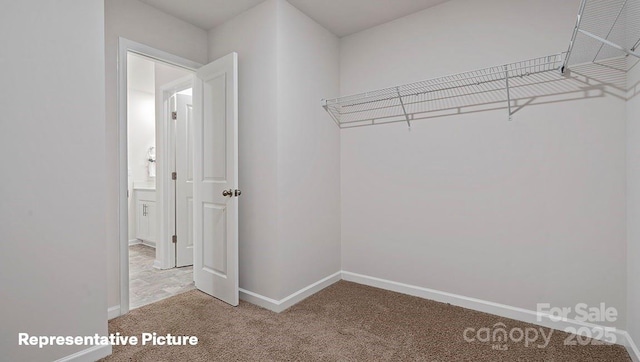 spacious closet with light carpet