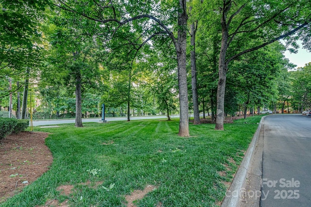 view of property's community featuring a yard