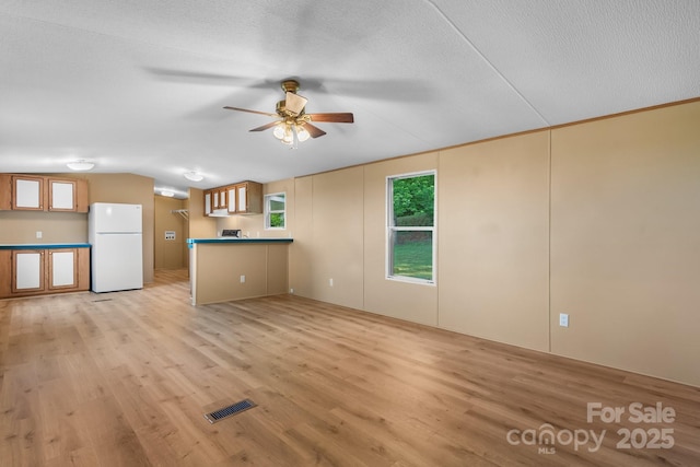 2930 Clarks Chapel Rd, Lenoir, NC 28645 - unfurnished living room featuring a ceiling fan, light wood-type flooring, vaulted ceiling, and a textured ceiling