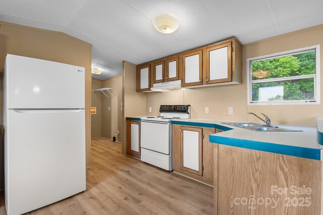 2930 Clarks Chapel Rd, Lenoir, NC 28645 - kitchen featuring white appliances, a sink, under cabinet range hood, light wood-style flooring, and light countertops