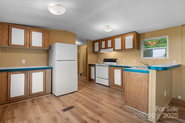 2930 Clarks Chapel Rd, Lenoir, NC 28645 - kitchen featuring white appliances, under cabinet range hood, light wood finished floors, vaulted ceiling, and light countertops