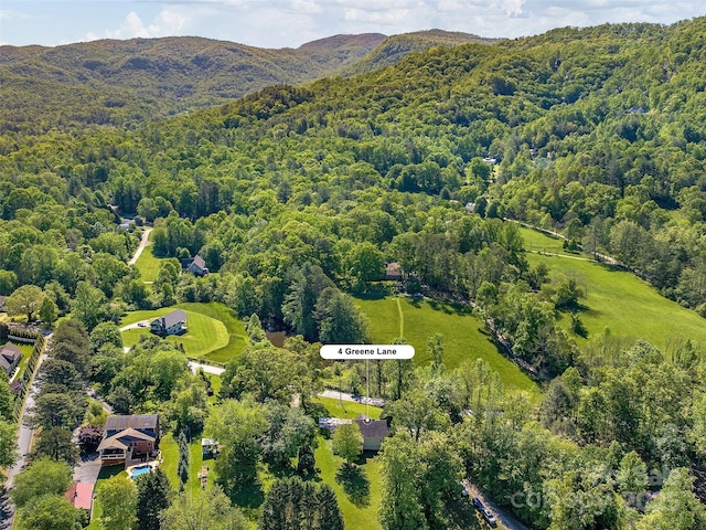 4 Greene Ln, Fletcher, NC 28732 - aerial view of a forest and a mountainous background