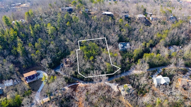 99999 Hilltop Rd, Black Mountain, NC 28711 - photo 2