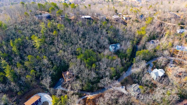 99999 Hilltop Rd, Black Mountain, NC 28711 - photo 3
