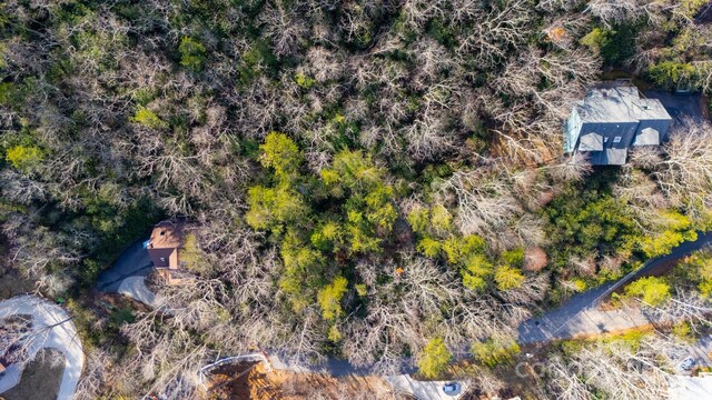 99999 Hilltop Rd, Black Mountain, NC 28711 - photo 4