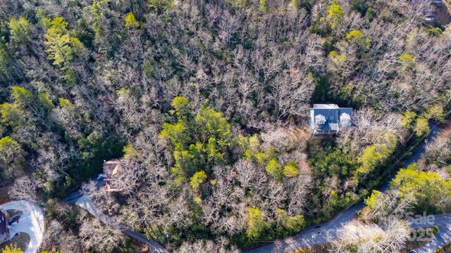 99999 Hilltop Rd, Black Mountain, NC 28711 - photo 5