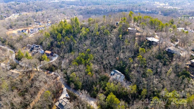 99999 Hilltop Rd, Black Mountain, NC 28711 - photo 6