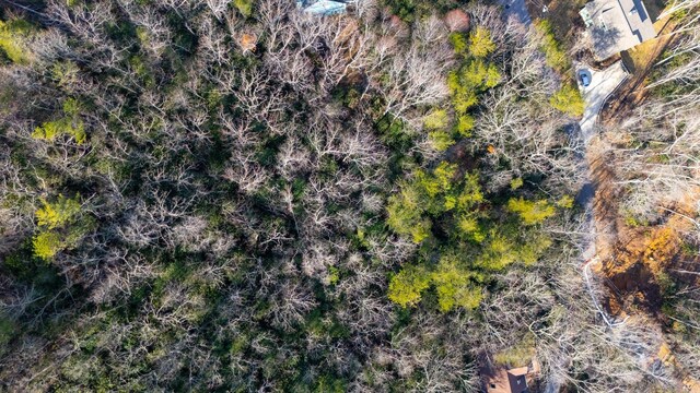 99999 Hilltop Rd, Black Mountain, NC 28711 - photo 7
