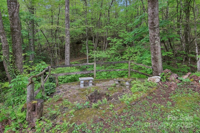 51 Atari Rd, Waynesville, NC 28786 - view of tree filled area