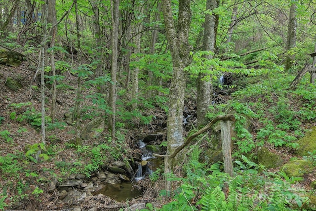 51 Atari Rd, Waynesville, NC 28786 - view of tree filled area