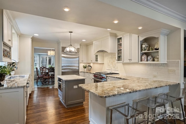 kitchen featuring premium appliances, a peninsula, light stone countertops, decorative backsplash, and dark wood finished floors