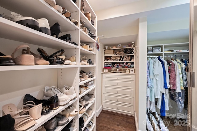 walk in closet featuring dark wood-style flooring