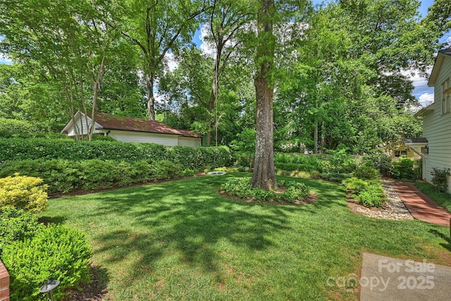 view of grassy yard