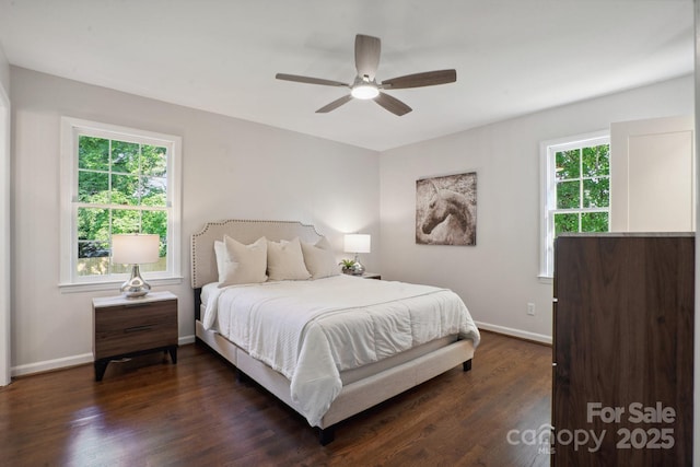 bedroom featuring multiple windows, dark wood-type flooring, baseboards, and a ceiling fan