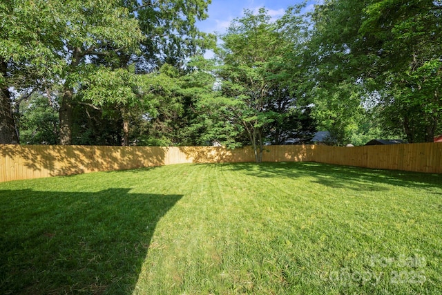 view of yard