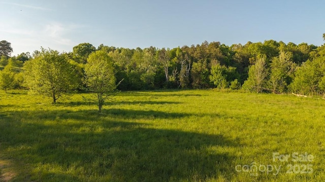 TBD Lundy Rd, Statesville, NC 28625 - photo 10