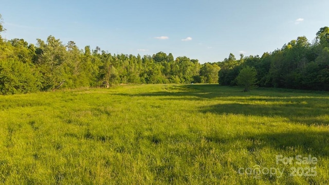 TBD Lundy Rd, Statesville, NC 28625 - photo 11
