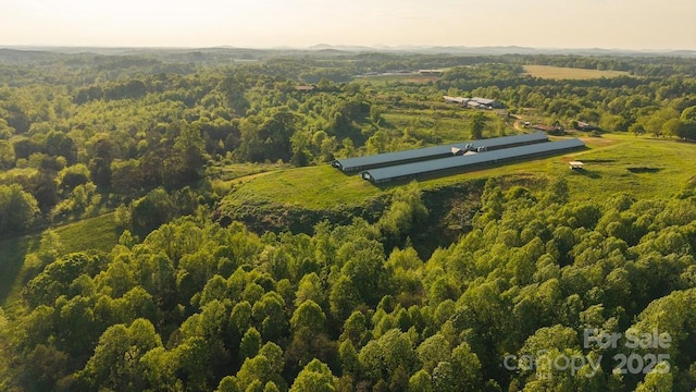 TBD Lundy Rd, Statesville, NC 28625 - photo 16