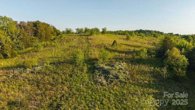 TBD Lundy Rd, Statesville, NC 28625 - photo 17