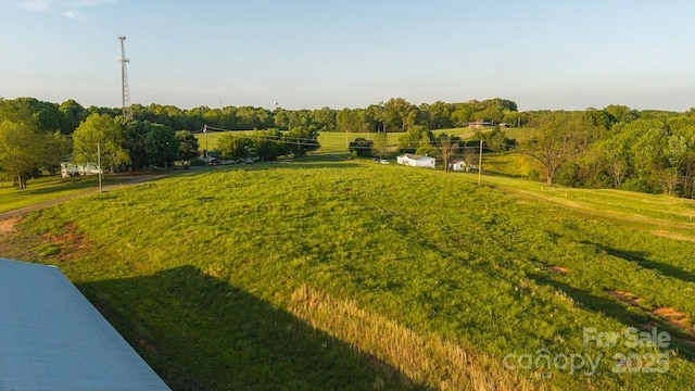 TBD Lundy Rd, Statesville, NC 28625 - photo 22
